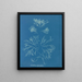 Corallina officinalis - Anna Atkins — indrammet kunstværk på væggen