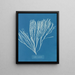 Couverts multifida - Anna Atkins — indrammet kunstværk på væggen