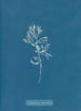 Cystoseira ericoides - Anna Atkins — visning af kunstværket
