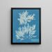 Delesseria sinuosa med cilié kant og frugt - Anna Atkins — indrammet kunstværk på væggen