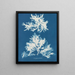 Slynget, nøgne maleri - Anna Atkins — indrammet kunstværk på væggen