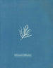 Ectocarpus littoralis - Anna Atkins — visning af kunstværket