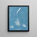 Enteromorpha compressa - Anna Atkins — indrammet kunstværk på væggen