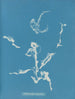 Enteromorpha ramulosa - Anna Atkins — visning af kunstværket