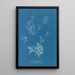 Reproduktion af maleriet Exilaria crystallinum parasitique - Anna Atkins