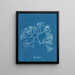 Fucus Machaii - Anna Atkins — indrammet kunstværk på væggen