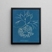 Furcellaria fastigiata - Anna Atkins — indrammet kunstværk på væggen