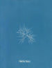 C'est à toi - Anna Atkins — visning af kunstværket
