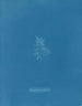 Laurence-maleri var stift - Anna Atkins — visning af kunstværket