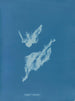 Lyngbya majuscula - Anna Atkins — visning af kunstværket