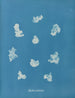 Nostoe kommune - Anna Atkins — visning af kunstværket