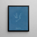 Polysiphonia Brodiaei Partie X - Anna Atkins — indrammet kunstværk på væggen