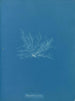 Polysiphonia fibrata - Anna Atkins — visning af kunstværket