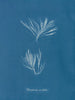 Polysiphonia urceolata - Anna Atkins — visning af kunstværket
