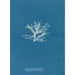 Rhodomela pinastroides - Anna Atkins — visning af kunstværket