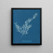 Sargassum bacciferum - Anna Atkins — indrammet kunstværk på væggen