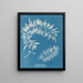 Sargasses plumeuses - Anna Atkins — indrammet kunstværk på væggen