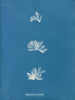 Schizonema comoides - Anna Atkins — visning af kunstværket
