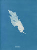 Ulva linza - Anna Atkins — visning af kunstværket
