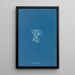 Reproduktion af maleriet Vaucheria racemosa - Anna Atkins