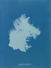 Zygnema bøjet - Anna Atkins — visning af kunstværket