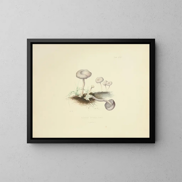 Illustrationer af den britiske mykologi Pl47 - Anna Maria Hussey — indrammet kunstværk på væggen