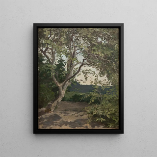 Anna Nordlander - A Tree Study.webp