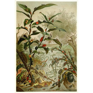 Anonymous - Beetles in a flood.webp