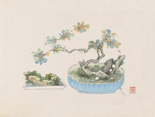 Anonymous - Bonsai kabenzu Pl22.webp