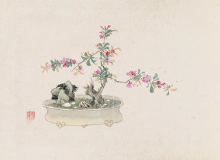 Anonymous - Bonsai kabenzu Pl27.webp