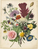 Bouquet de fleurs - Anonym — visning af kunstværket