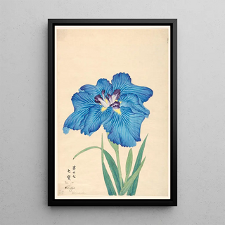 Anonymous - Cloisonne Shippo.webp