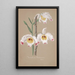 Orchideer Collection Pl01 - Anonym — indrammet kunstværk på væggen