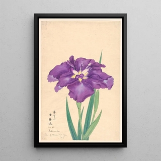 Anonymous - Color of Green Old Age KokinoIro.webp