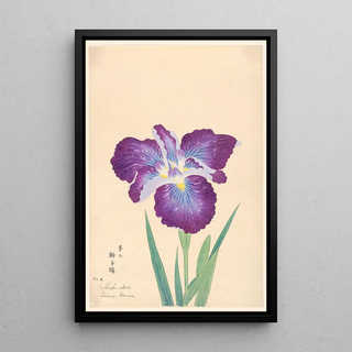 Anonymous - Lions Dance Shishiodori.webp