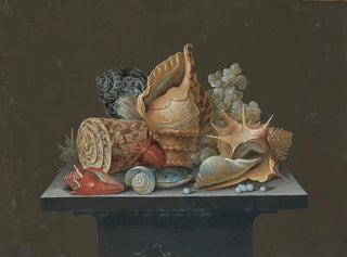 Anonymous - Still life with shells.webp