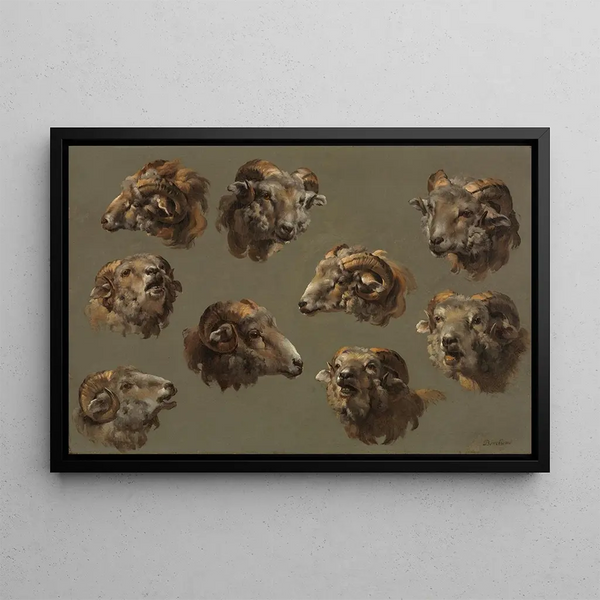 Anonymous - Studies of Ram Heads.webp