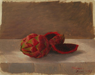 Anonymous - The Pitajaya Fruit Columbia.webp