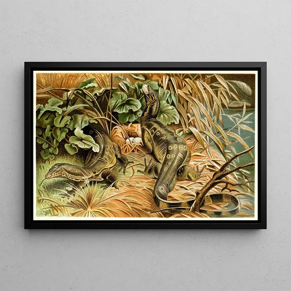 Anonymous - Watermonitors robbing a nest.webp