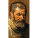 Tête d'homme barbu - Antoine van Dyck — visning af kunstværket