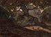 to hjorte i hvile i Fontainebleau-skoven - Antoine-Louis Barye — visning af kunstværket