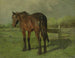 Hest - Anton Mauve — visning af kunstværket