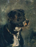 Tête de chien de boucher Tête de chien - Anton Romako — visning af kunstværket