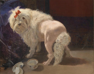 La coupe brisée - Anton Schrödl — visning af kunstværket