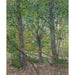 Reproduktion af maleriet Træer - Vincent van Gogh