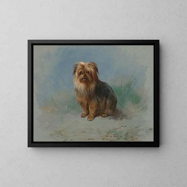 En Norfolk terrier - Archibald Thorburn — indrammet kunstværk på væggen
