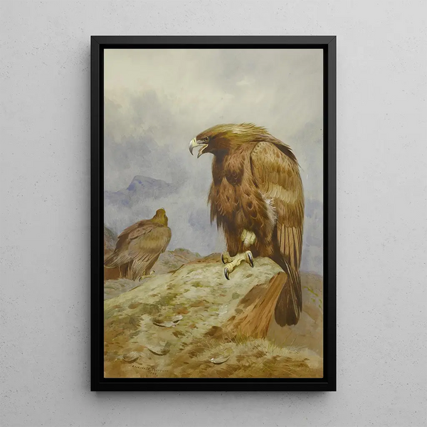 Et par kongeørne - Archibald Thorburn — indrammet kunstværk på væggen