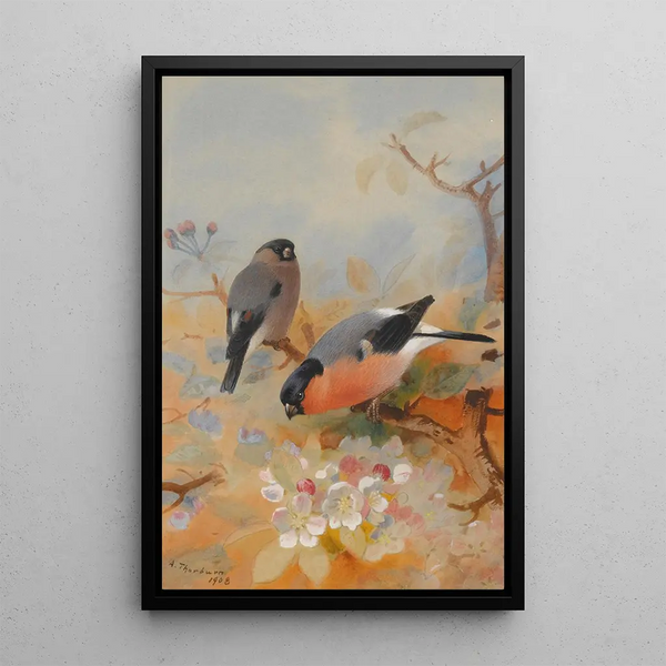 Reproduktion af maleriet Bouvreuils - Archibald Thorburn