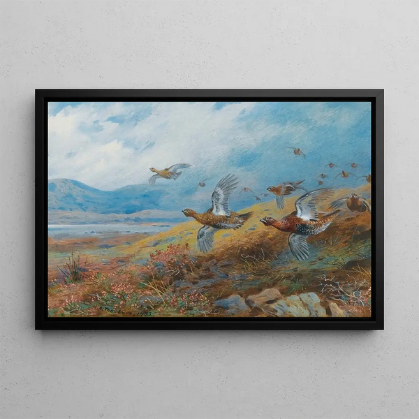Archibald Thorburn - Driven Grouse.webp