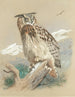 stor ugle - Archibald Thorburn — visning af kunstværket